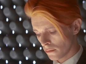 David Bowie: 'endlessly intriguing'
