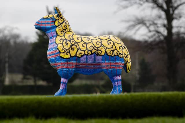 The bleat goes on at the Royal Highland Show
