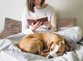 Some dogs breeds are a perfect match for the more introverted owner.