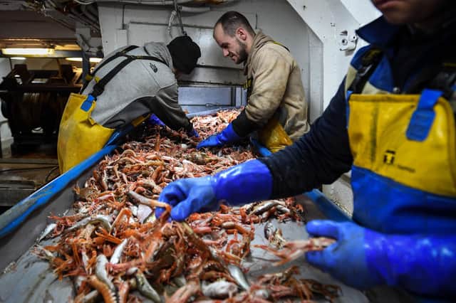 A fishing deal that gives increased quotas, full control of UK waters in five years, and access to EU markets is a betrayal of nothing, says Brian Wilson (Picture: Andy Buchanan/AFP via Getty Images)