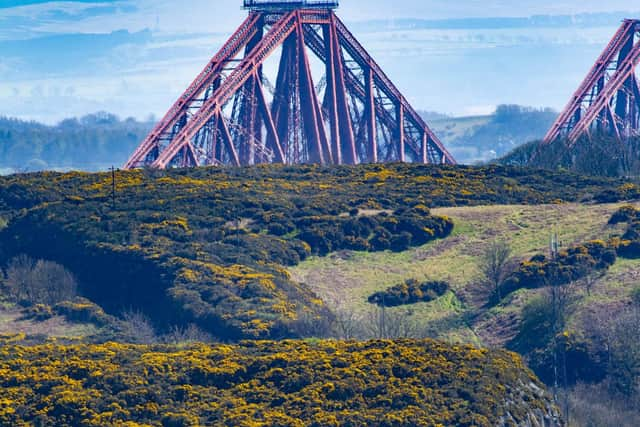 Staff shifts on some routes north of Edinburgh average more than 15 hours. Picture: Peter Devlin