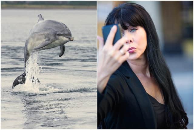 Scotland urges tourists to stop taking selfies too close to dolphins as it may disturb them