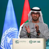 COP28 president Sultan Ahmed Al Jaber applauds during the final session of the United Nations climate summit in Dubai yesterday (Picture: Giuseppe Cacace/AFP via Getty Images)