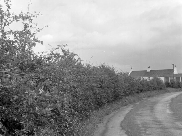 Historians are split on the etymology of Gogar, a name that is mentioned in documents dating back as far as 1233. Some believe it comes from 'gowk', the Scots word for the cuckoo, while others think it's more likely to come from 'coch', the Brythonic term for red that leant its name to nearby Redheugh (which means 'red ravine').