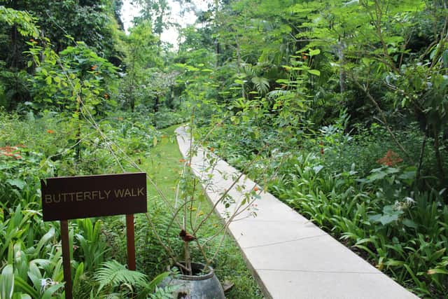 The Butterfly Walk at the Datai Langkawi. Pic: Josie Clarke/PA.