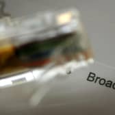 People in remote areas suffer from poor Wi-Fi