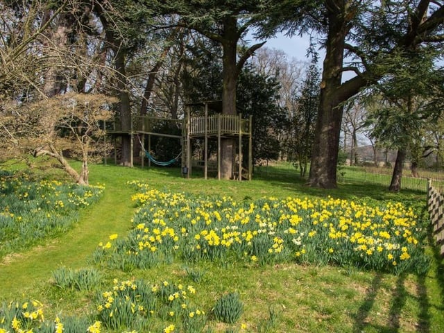 Garden.