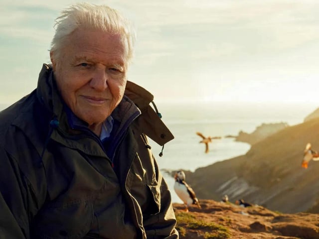 “Scotland is a wonderfully fascinating place for wildlife and nature. It has, in my opinion, some of the most marvellous landscapes and wildlife spectacles you will find anywhere.”