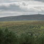 The largest ever community buyout of land in southern Scotland has seen 5,200 acres of and six properties around Langholm handed over to locals in a deal worth £3.8 million. Photo: David Lintern