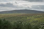 The largest ever community buyout of land in southern Scotland has seen 5,200 acres of and six properties around Langholm handed over to locals in a deal worth £3.8 million. Photo: David Lintern