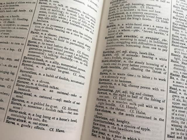 A clutch of modern Scots words - from tonto to roaster and jaked - have been earmarked for inclusion in the new Scots language dictionary. PIC: Contributed.