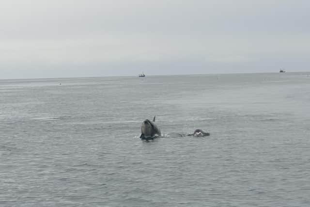 These incredible pictures were taken by teacher Eddie White while he was in Fife with his family.