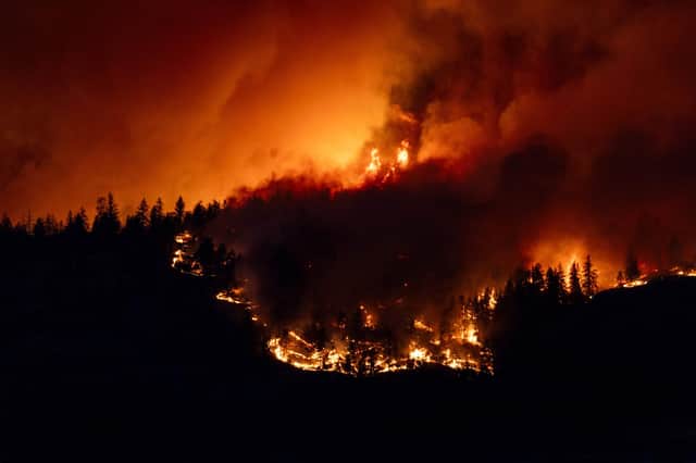 Wildfires in Canada, like this one in West Kelowna, British Columbia, burned a new record area of land last year (Picture: Darren Hull/AFP via Getty Images)
