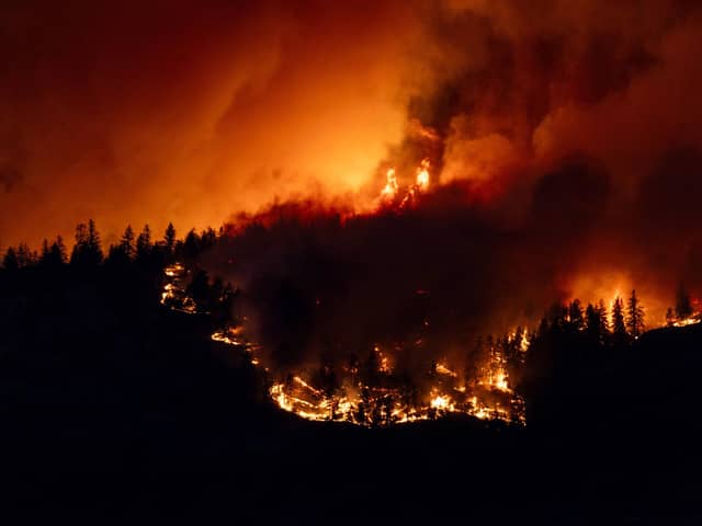 Wildfires in Canada, like this one in West Kelowna, British Columbia, burned a new record area of land last year (Picture: Darren Hull/AFP via Getty Images)