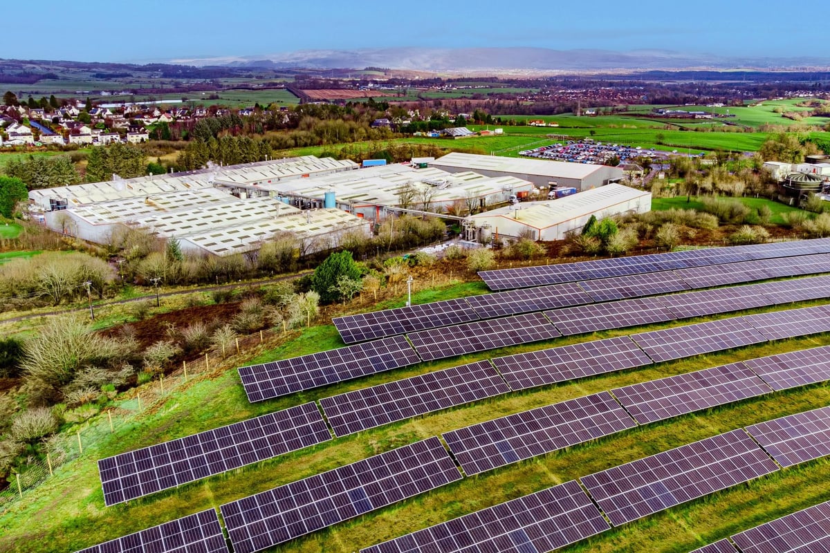 Scottish Leather Group hails environmental efforts including Bridge of Weir solar farm