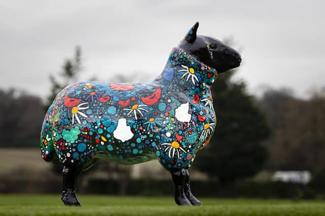 Be More Alan by Charlotte Brayley