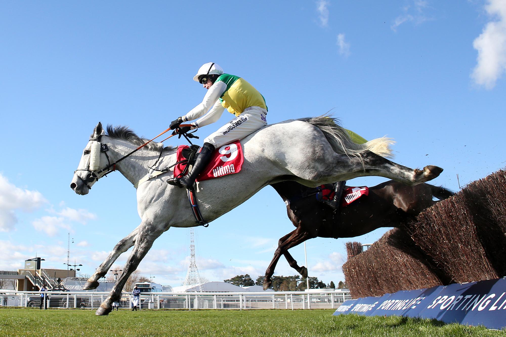 Ryan Mania's Cheltenham win is an inspiration – Scotsman comment - Vimarsana News