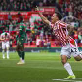 Stoke City's Million Manhoef has been linked with Celtic Image: Gary Oakley/Getty Images