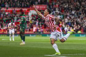 Stoke City's Million Manhoef has been linked with Celtic Image: Gary Oakley/Getty Images