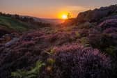 The UK’s internationally rare heather moorland habitat is at risk 