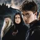 There have been 11 films to date featuring characters who live in the world of Harry Potter.