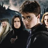 There have been 11 films to date featuring characters who live in the world of Harry Potter.