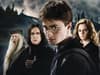 All 11 films in the Harry Potter universe ranked according to Rotten Tomatoes reviews - including Fantastic Beasts