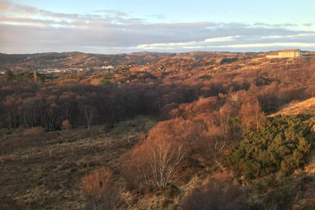 Another view of the proposed site with a view of Lochinver in the distance (Nigel Goldie)