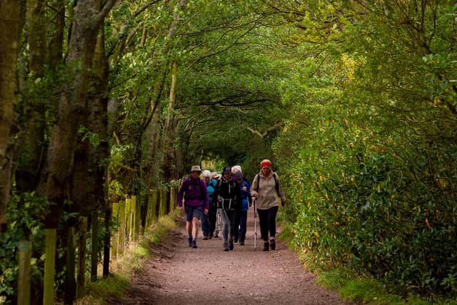 The new interactive map, created by Ramblers Scotland, features nearly 450 previously unmarked routes across Scotland. Photo: Ross MacDonald