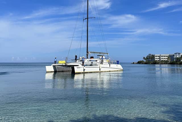 A catamaran in the warm waters off north-west Jamaica. Pic: Lauren Taylor/PA