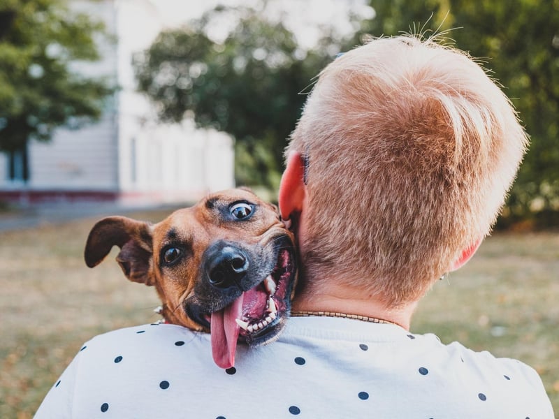 Bailey comes in at eighth place in the most common male dog names in the UK. It comes from the Old English word 'bailiff', meaning 'agent of the law'.