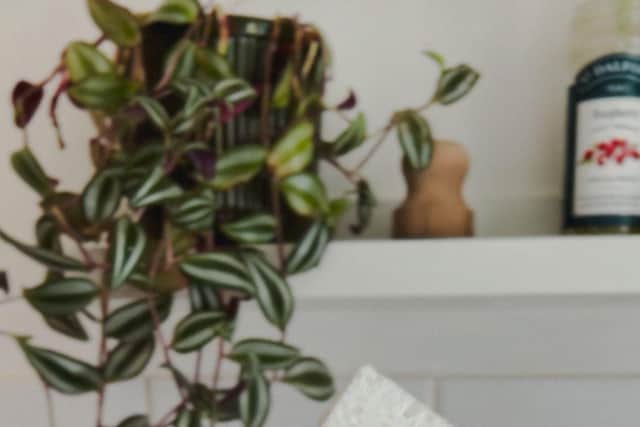 Seep Eco cleaning products