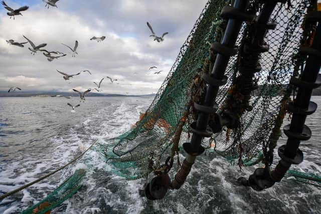 Scotland's new Biodiversity Strategy has set the target date for implementing fisheries management measures in sensitive marine areas for the end of 2025, 18 months later than the deadline laid out in the Bute House Agreement. Picture: Jeff J Mitchell/Getty Images