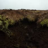 The Scottish Government has committed hundreds of millions of pounds to land restoration projects, causing land prices to rise (Picture: Oli Scarff/AFP via Getty Images)