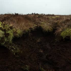 The Scottish Government has committed hundreds of millions of pounds to land restoration projects, causing land prices to rise (Picture: Oli Scarff/AFP via Getty Images)