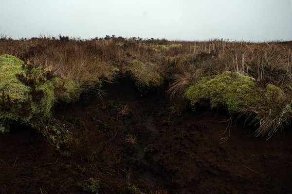 The Scottish Government has committed hundreds of millions of pounds to land restoration projects, causing land prices to rise (Picture: Oli Scarff/AFP via Getty Images)