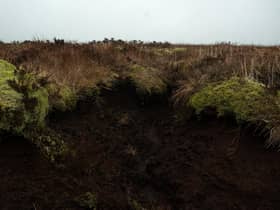 The Scottish Government has committed hundreds of millions of pounds to land restoration projects, causing land prices to rise (Picture: Oli Scarff/AFP via Getty Images)