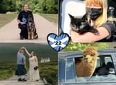 It's not all doom and gloom in the world and these Scottish news stories from 2022 prove it.