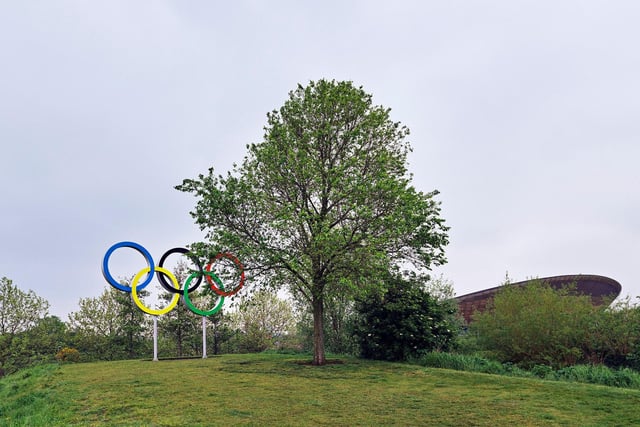 Elm in the Olympic Ppark