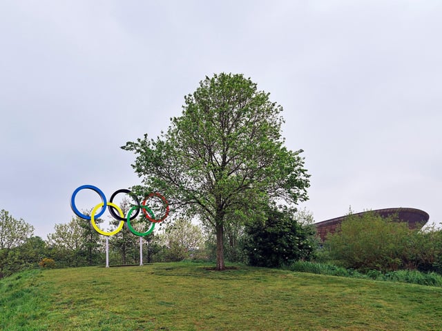 Elm in the Olympic Ppark