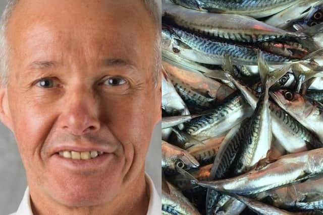 ​SPSG chief Ian Gatt says mackerel should remain on the shopping list for all sustainably-minded purchasers.