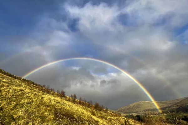 JK Rowling's company, which owns swaths of land at Shepherdscleuch in the Scottish Borders, received more than three quarters of a million pounds in EU subsidies last year. Picture: Lisa Ferguson