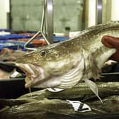 Mairi Gougeon, Scottish Cabinet Secretary for Rural Affairs feared reconsidering a fishing ban would send “the wrong signal” to the Scottish Green Party, official emails reveal  (Picture: Andrew Parsons/PA).