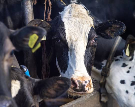 The farming sector has been vocal about the impact of the deal