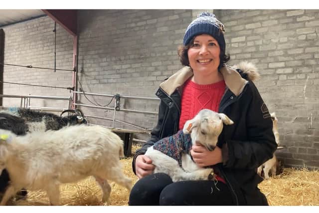 Dr Jillian McEwan, co-owner of Lunan Bay Farm, with one of the newborn Cashmere kids. PIC: National World.