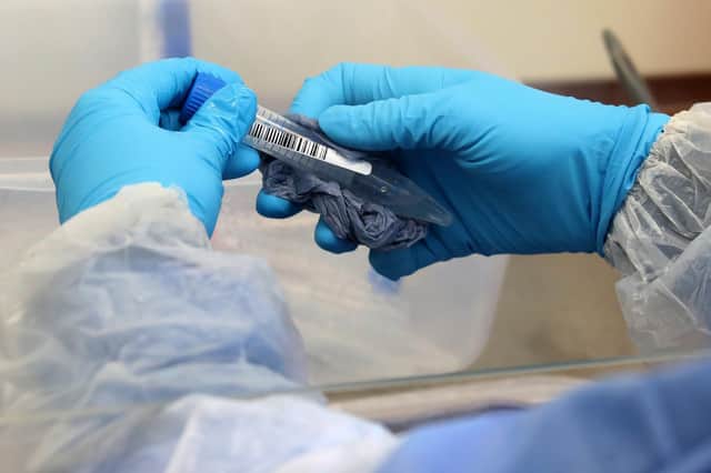 The pharma sector in Scotland now employs 5,600 people with salary levels significantly higher than average.
