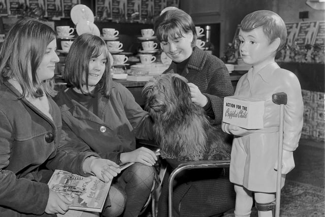 Bobby the dog, who featured in the film 'Greyfriars Bobby', visits the Christmas gift shop in Edinburgh's Tollcross in 1962.