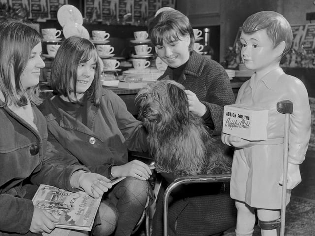 Bobby the dog, who featured in the film 'Greyfriars Bobby', visits the Christmas gift shop in Edinburgh's Tollcross in 1962.