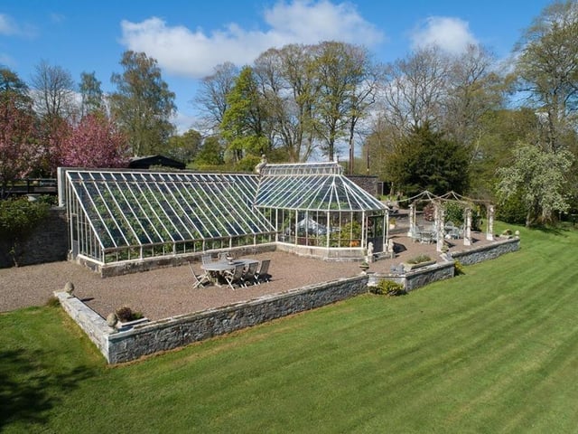 Vine house and terrace.
