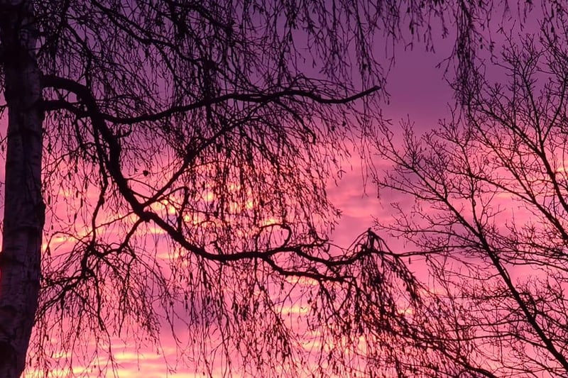 Angie sent this delightful photo of a beautiful scattering of clouds across a sunset purple sky.
